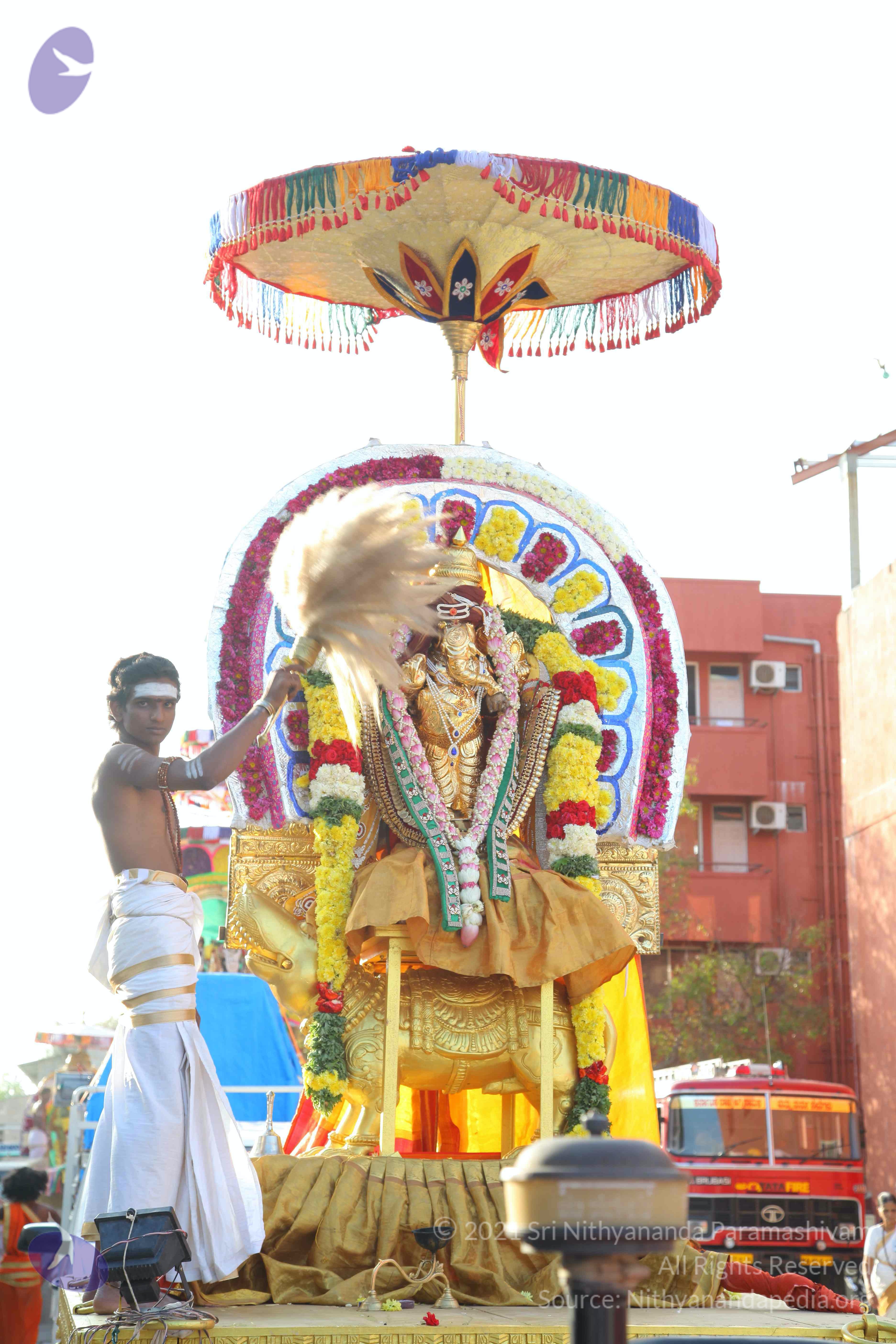 20161204_Photo_1071_IMG_3281_CMP_WM